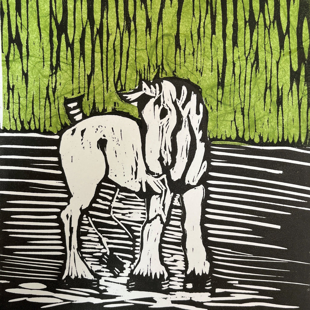 Printmaking & Paper Arts